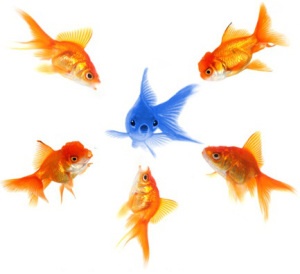 Career Branding Vs Personal Branding: Any Difference?